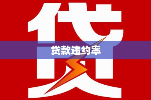 顺昌贷款违约率