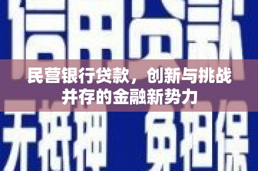 顺昌民营银行贷款，创新与挑战并存的金融新势力
