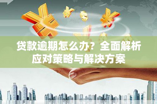 顺昌贷款逾期怎么办？全面解析应对策略与解决方案