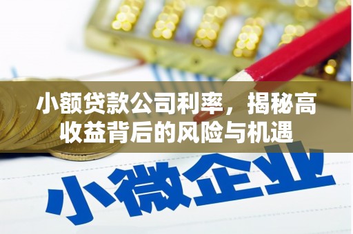 顺昌小额贷款公司利率，揭秘高收益背后的风险与机遇