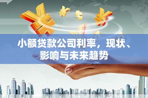 顺昌小额贷款公司利率，现状、影响与未来趋势