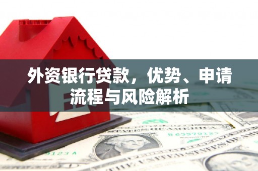 顺昌外资银行贷款，优势、申请流程与风险解析