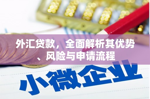 顺昌外汇贷款，全面解析其优势、风险与申请流程