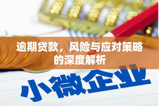 顺昌逾期贷款，风险与应对策略的深度解析