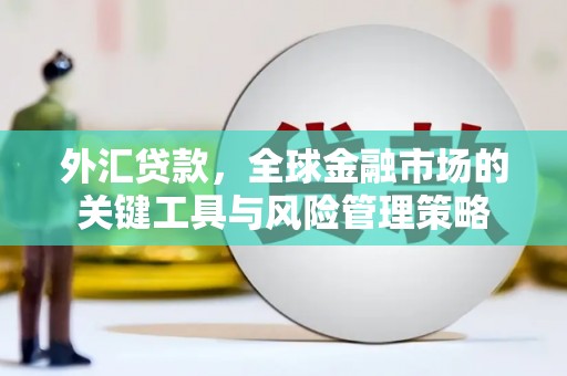 顺昌外汇贷款，全球金融市场的关键工具与风险管理策略