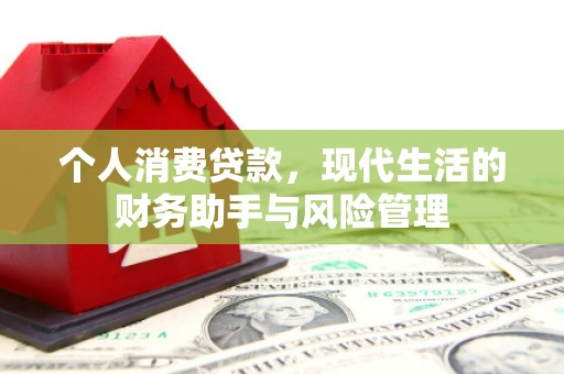 顺昌个人消费贷款，现代生活的财务助手与风险管理