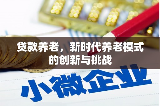 顺昌贷款养老，新时代养老模式的创新与挑战