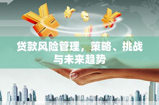 顺昌贷款风险管理，策略、挑战与未来趋势