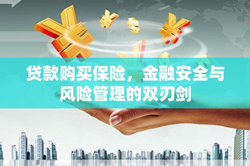 顺昌贷款购买保险，金融安全与风险管理的双刃剑