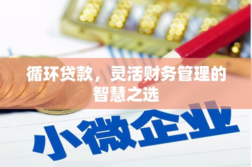 顺昌循环贷款，灵活财务管理的智慧之选