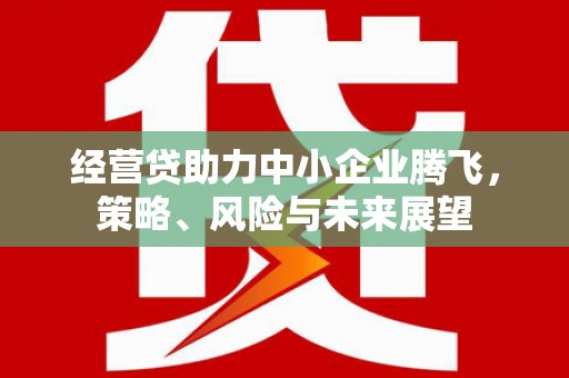 顺昌经营贷助力中小企业腾飞，策略、风险与未来展望