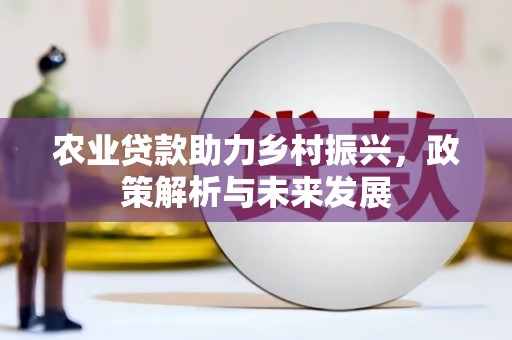 顺昌农业贷款助力乡村振兴，政策解析与未来发展