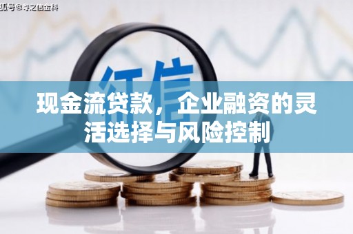 顺昌现金流贷款，企业融资的灵活选择与风险控制