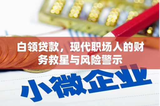 顺昌白领贷款，现代职场人的财务救星与风险警示