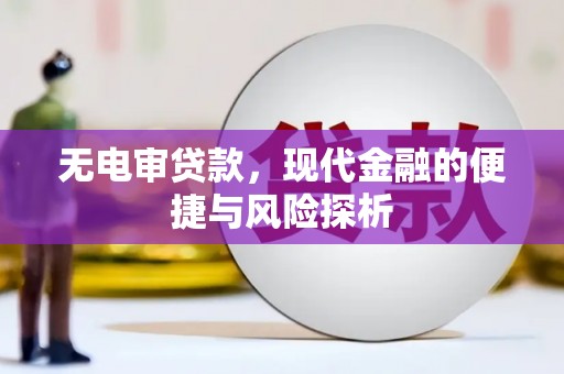 顺昌无电审贷款，现代金融的便捷与风险探析