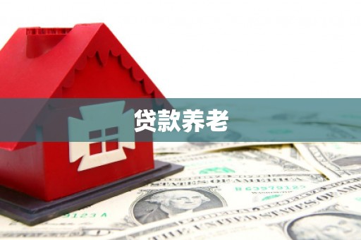 顺昌贷款养老