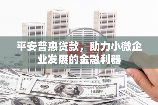 顺昌平安普惠贷款，助力小微企业发展的金融利器
