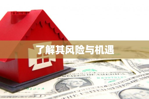 顺昌了解其风险与机遇