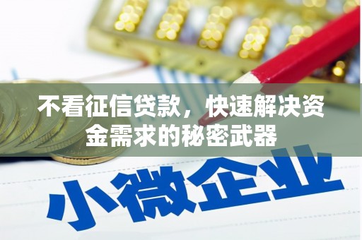 顺昌不看征信贷款，快速解决资金需求的秘密武器