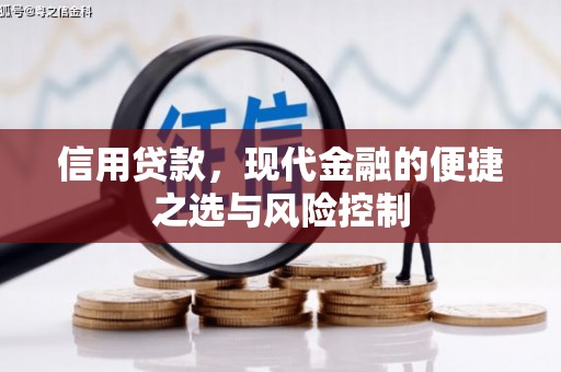顺昌信用贷款，现代金融的便捷之选与风险控制