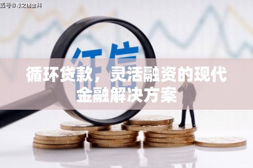顺昌循环贷款，灵活融资的现代金融解决方案