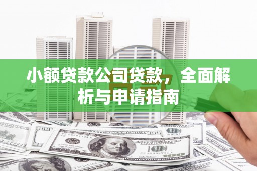顺昌小额贷款公司贷款，全面解析与申请指南
