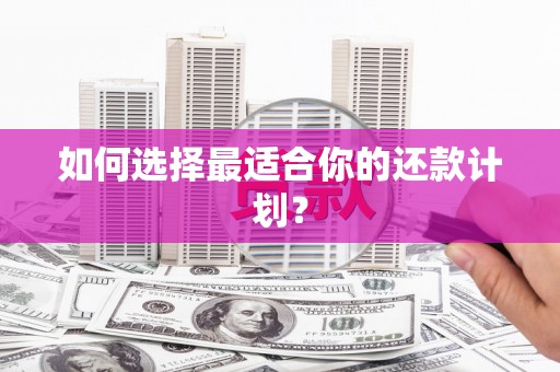 顺昌如何选择最适合你的还款计划？
