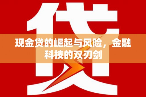 顺昌现金贷的崛起与风险，金融科技的双刃剑