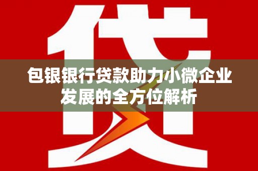 顺昌包银银行贷款助力小微企业发展的全方位解析
