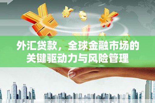 顺昌外汇贷款，全球金融市场的关键驱动力与风险管理