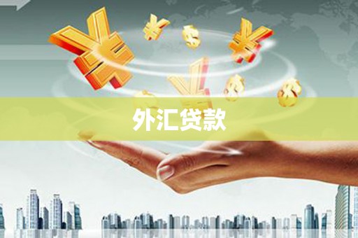 顺昌外汇贷款