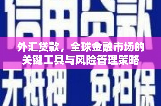 顺昌外汇贷款，全球金融市场的关键工具与风险管理策略