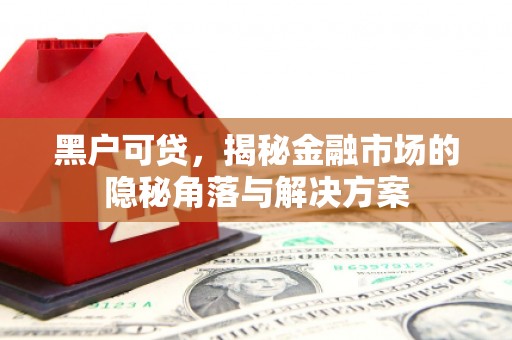顺昌黑户可贷，揭秘金融市场的隐秘角落与解决方案