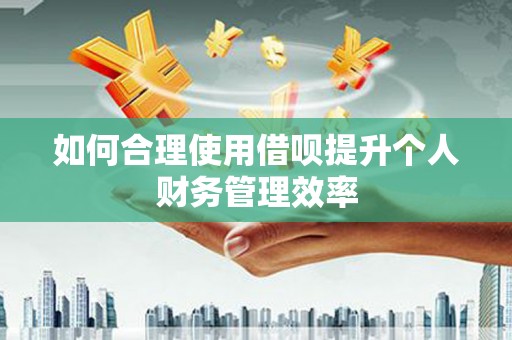 顺昌如何合理使用借呗提升个人财务管理效率