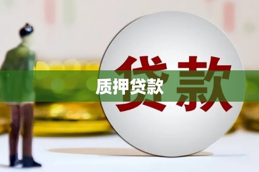 顺昌质押贷款