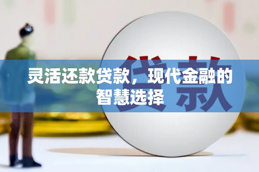 顺昌灵活还款贷款，现代金融的智慧选择