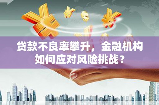 顺昌贷款不良率攀升，金融机构如何应对风险挑战？