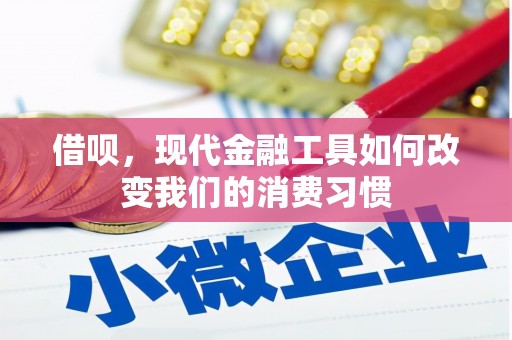 顺昌借呗，现代金融工具如何改变我们的消费习惯