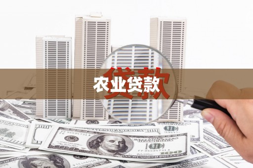 顺昌农业贷款