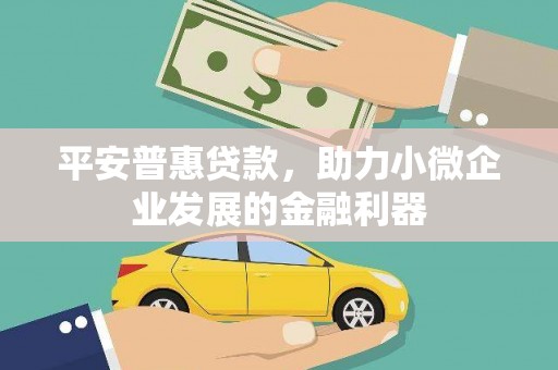 顺昌平安普惠贷款，助力小微企业发展的金融利器