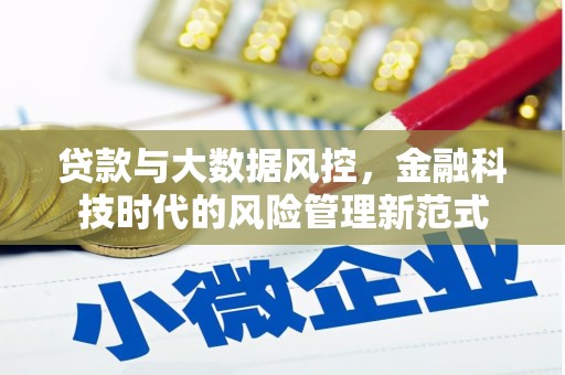 顺昌贷款与大数据风控，金融科技时代的风险管理新范式