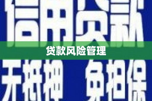 顺昌贷款风险管理