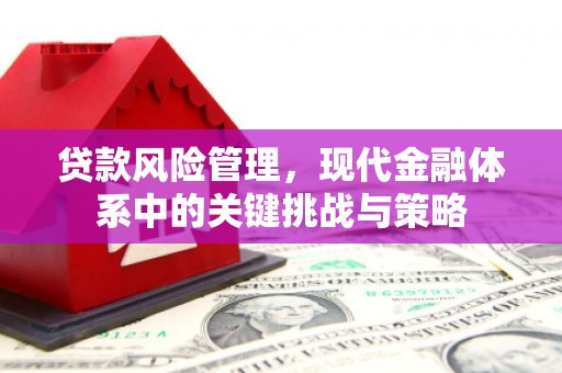 顺昌贷款风险管理，现代金融体系中的关键挑战与策略