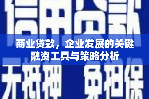 顺昌商业贷款，企业发展的关键融资工具与策略分析