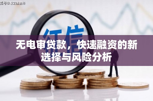顺昌无电审贷款，快速融资的新选择与风险分析