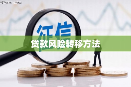 顺昌贷款风险转移方法