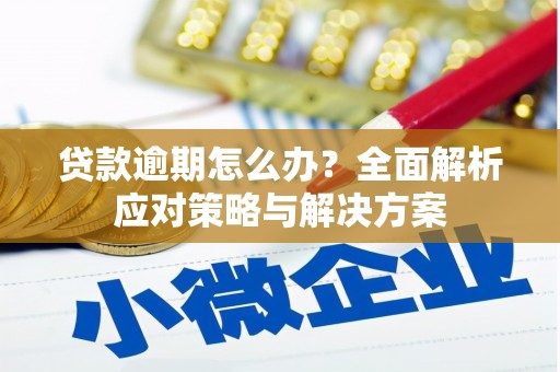 顺昌贷款逾期怎么办？全面解析应对策略与解决方案