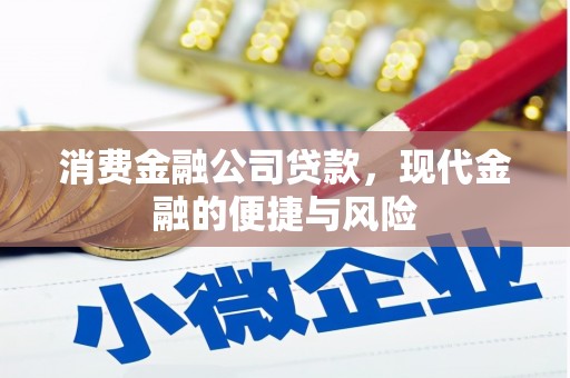 顺昌消费金融公司贷款，现代金融的便捷与风险