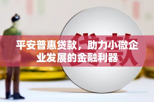 顺昌平安普惠贷款，助力小微企业发展的金融利器