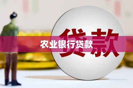 顺昌农业银行贷款